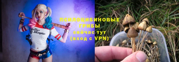 ECSTASY Алексин