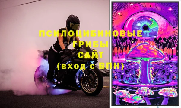 шишки Абинск