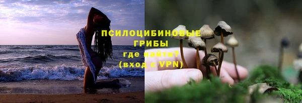 амф Абаза
