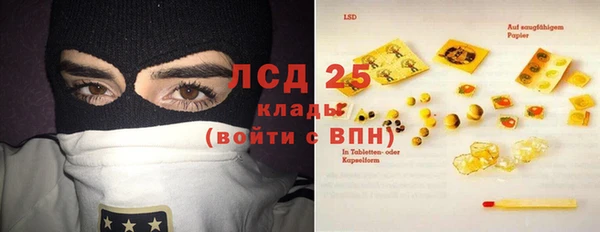 шишки Абинск