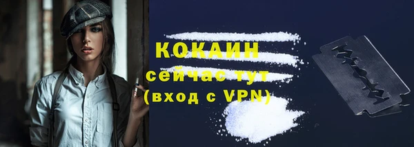 шишки Абинск
