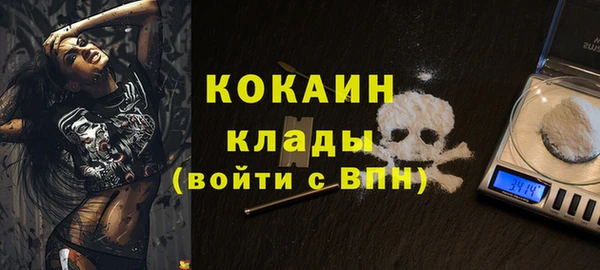 шишки Абинск