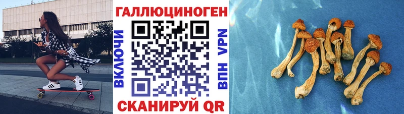 Псилоцибиновые грибы Cubensis  Южа 